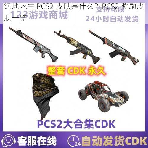 绝地求生 PCS2 皮肤是什么？PCS2 奖励皮肤一览